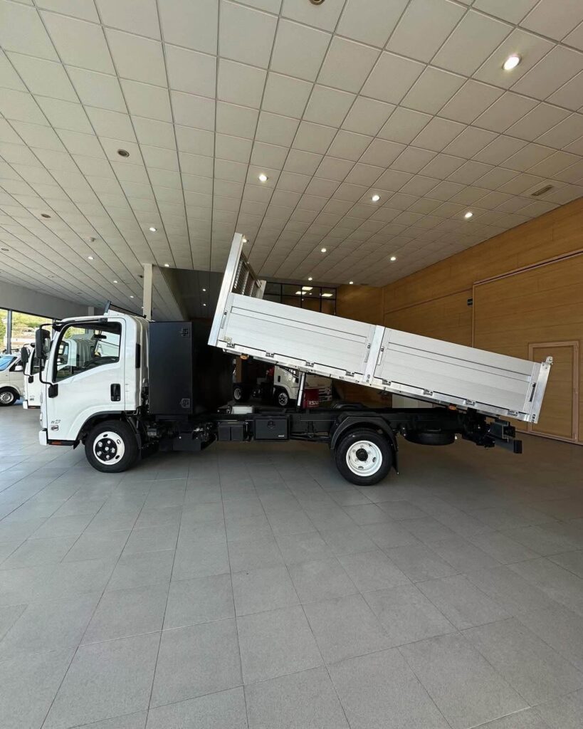 CAMION ISUZU CARROZADO